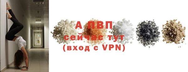 стаф Абинск